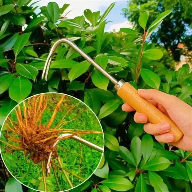 Stainless Steel Gardening Weed - Gardening Tools To Remove Weeds recension och pris
