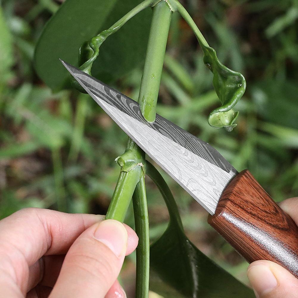 Sharp Grafting Knife with Wood - Gardening Tools Sharp recension och pris